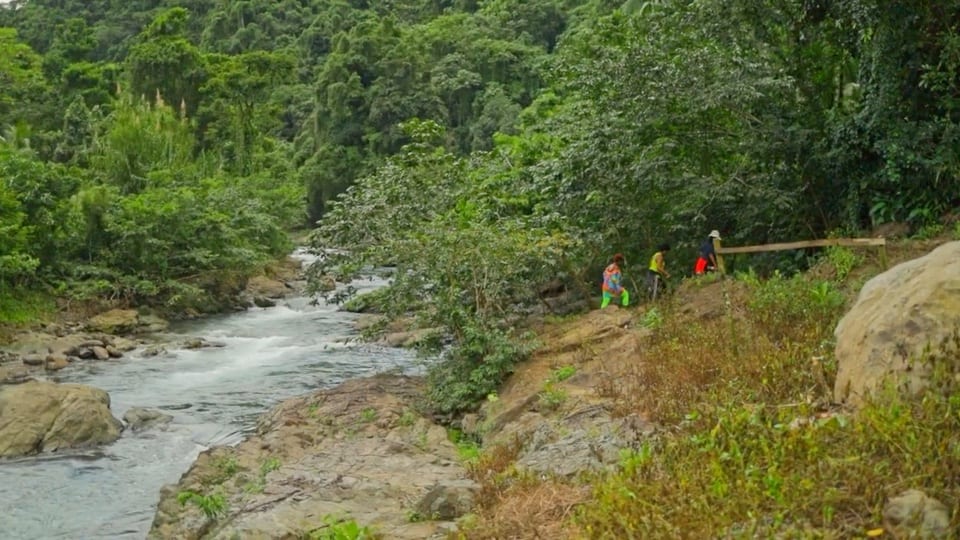 Jamaica’s river winding through green hills
