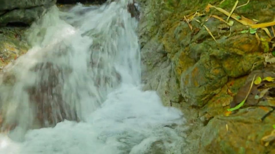 Water flowing over moss-covered rocks